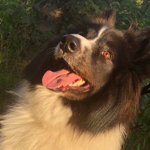 Meet your Posher, Kelly